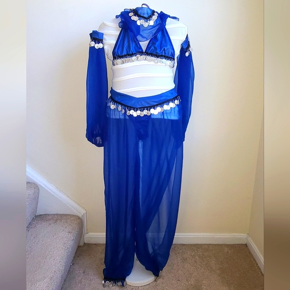 6 Piece Jeanie / Bellydancer Costume NWOT - Picture 6 of 11